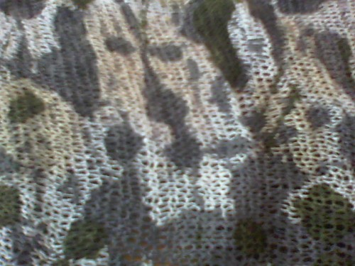 Camo net 2.JPG
