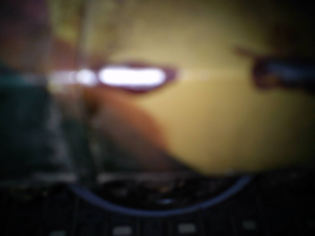 Sorry this one is a bit out of focus