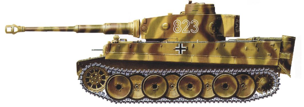 Tiger I, 2nd SS need confirmation.JPG