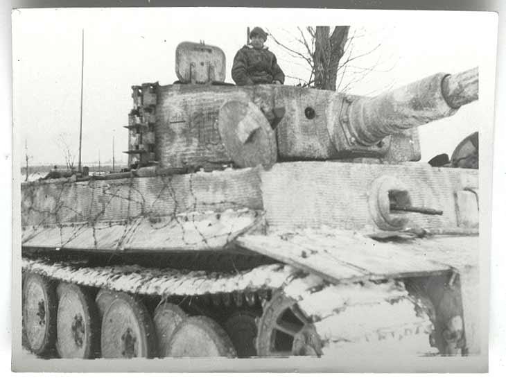 q7iwintertiger.jpg