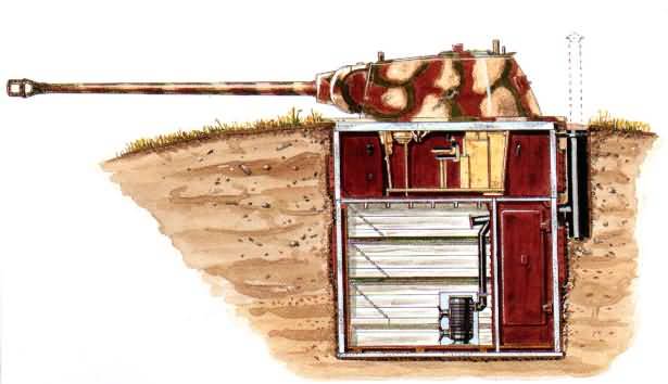 panther-6.jpg