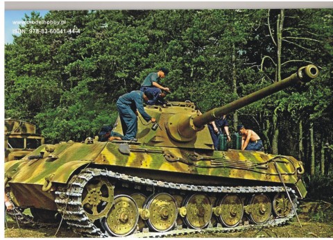 Tiger painting colourized.jpg