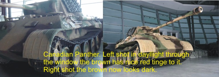 panther 2.jpg
