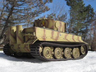 Tiger Complete Q Rear View, Snow small.jpg