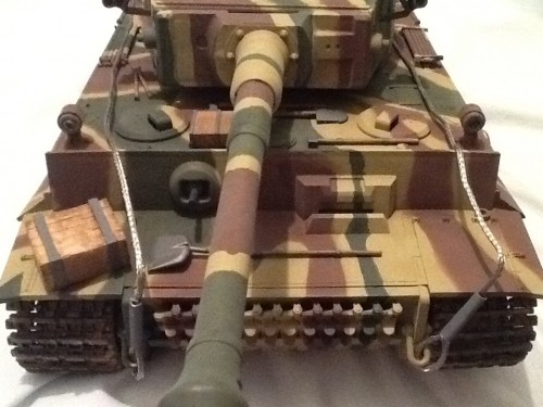 First tiger