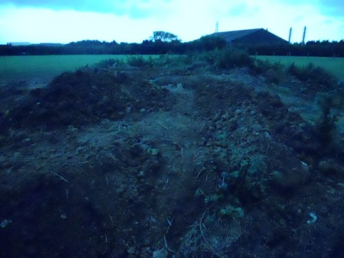 DSCN1269.JPG