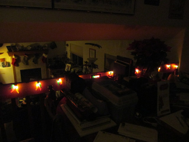Jalapeno Lights Christmas 2013.JPG