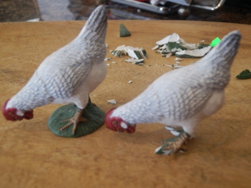 Im sure that corn is here somewhere.JPG