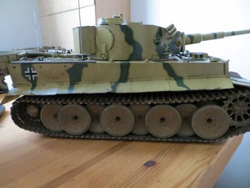 tiger mud.jpg