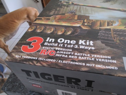 Greyhounds not included