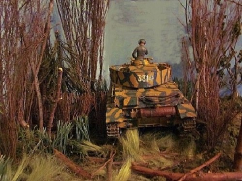lving woods last.JPG