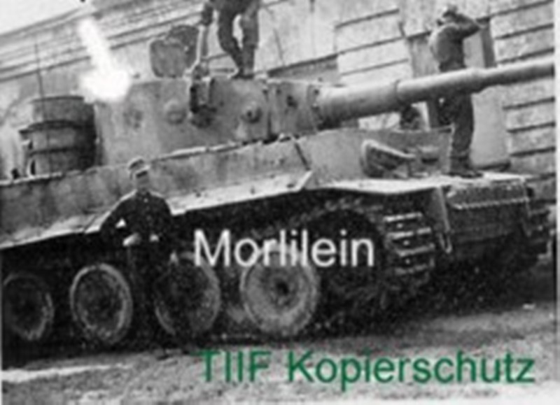 TIGER 100 RIGHT SIDE VIEW NO WINTER COAT.jpg