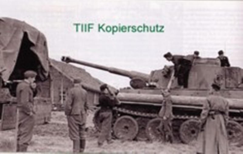 TIGER 100 LEFT SIDE VIEW SECOND POLE.jpg