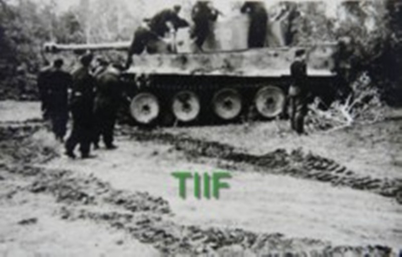 TIGER 100 LEFT SIDE WITH TURRET MARKINGS.jpg