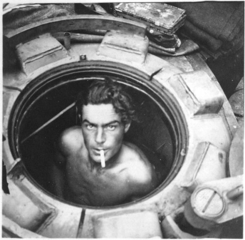 Like a fashion photo from another age, this handsome devil peers lout from the cupola of a Tiger.jpg