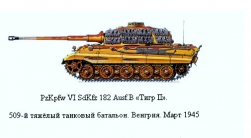 King%20Tiger%20base%20color%20II.png