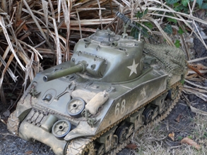 A few pictures of a couple of my tanks I've been having some fun with, they have only had some weathering, they are in no way accurate, as I said a bit of fun and practice until I start a build.
