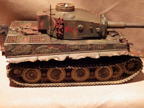Tiger shrunk.jpg