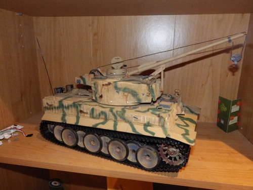 Bergtiger.jpg