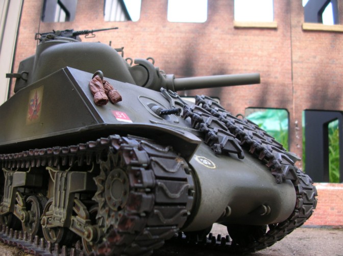 Sherman outdoors 1.JPG