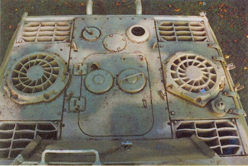 Panther_D_3.jpg