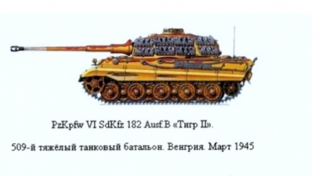 King%20Tiger%20base%20color%20II_Edited.JPG