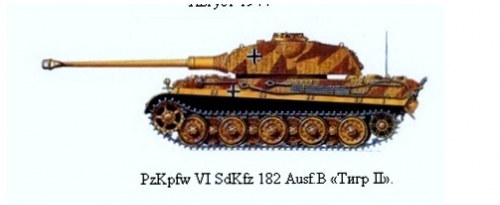 King%20Tiger%20000 (2).png