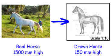 scale-horse.jpg