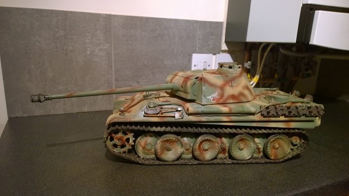 03007795.jpg