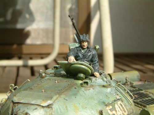 Soviet armour catching some rays in the garden