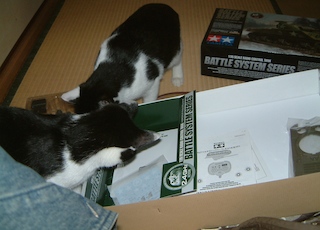 DSCF0008.JPG