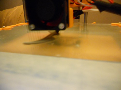DSCN0581.JPG