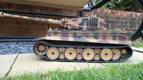 Tiger.jpg