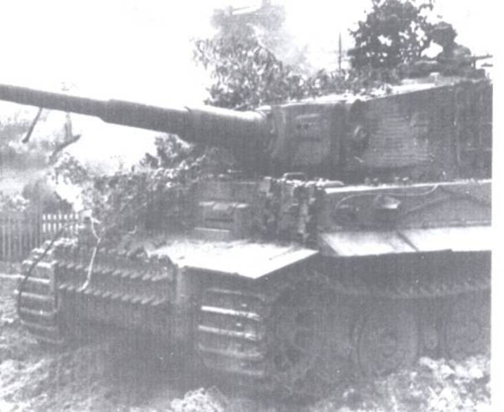 600_Tiger_I_Mystery_Mounts-2[1].jpg