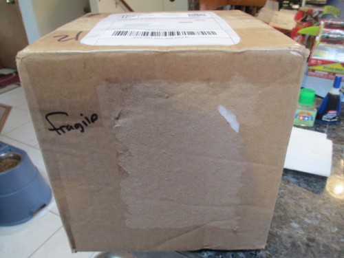 Well packed figure!