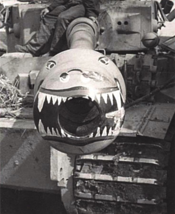 Tiger_II_shark.jpg
