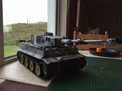 The Tiger in winter