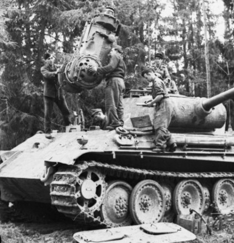 Pantherfield.jpg