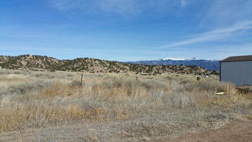 Part of the two acres I plan to fence off and live on