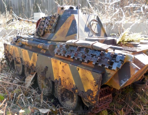 Panther 213 5.JPG