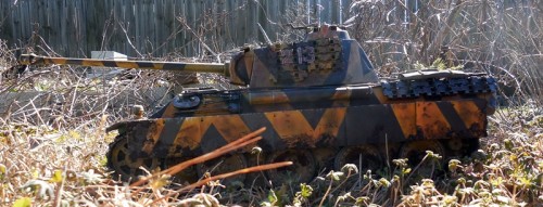 Panther 213 7.JPG
