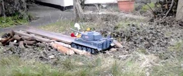 TigerBridge..jpg