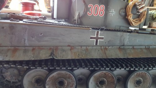 Early Tiger