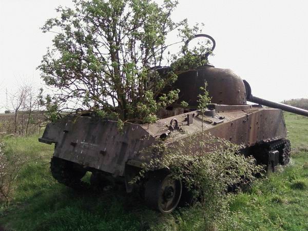 Rusting Sherman hulk..real weathering
