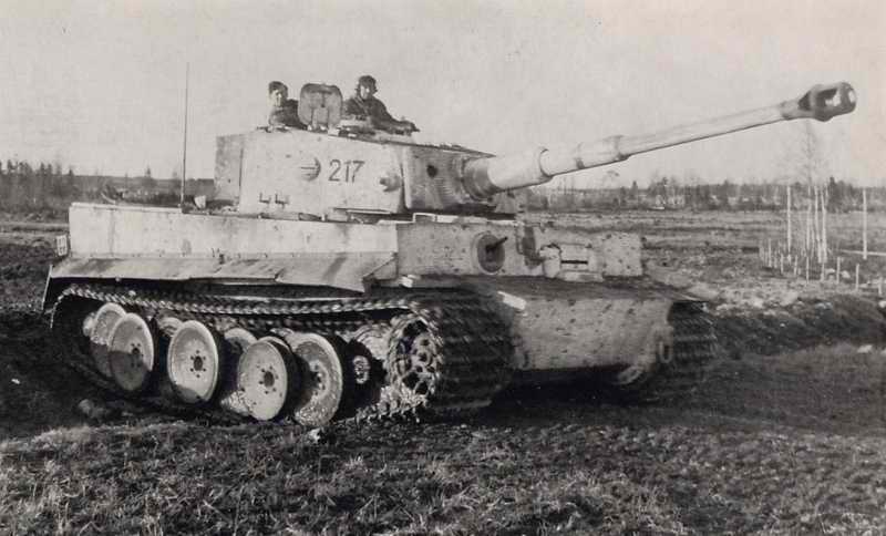 Tiger 217