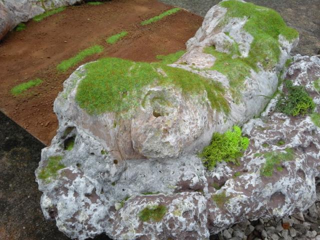 20160421_144636.jpg