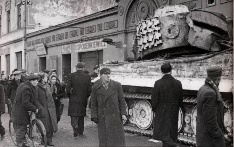 Tiger_0012.jpg