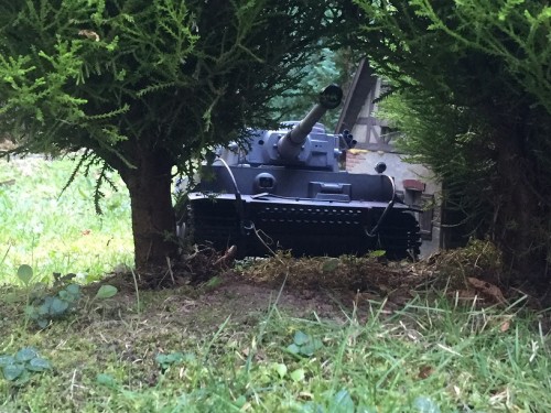Tiger early 1.jpg