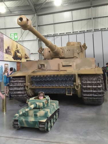 tiger1 s1.jpg