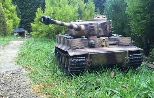 Tiger.jpg